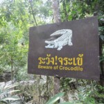 Khao yai thailande Khao yai crocodile RANDO