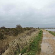 balade à pied le long de la mer keyhaven new forest rando itineraire weekend angleterre