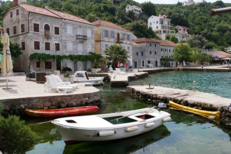 Montengro peninsule rose