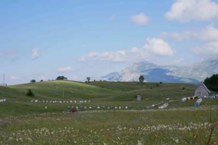 Route P14 (entrée ouest) durmitor Route P14 (entrée ouest) durmitor