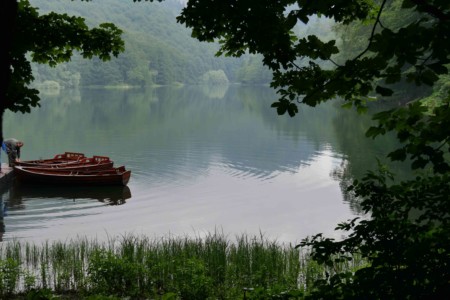 Biogradska Gora Durmitor Biogradska Gora Durmitor