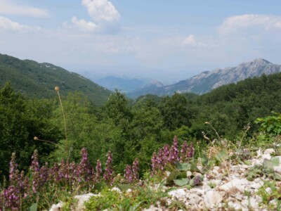 Virpazar-Bar via route de montagne - Montenegro