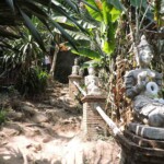 Mont Suthep Chiang Mai rando Doi Suthep Chiang mai thailande