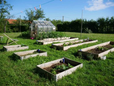 En début de saison jardin potager bio associations legumes fleurs