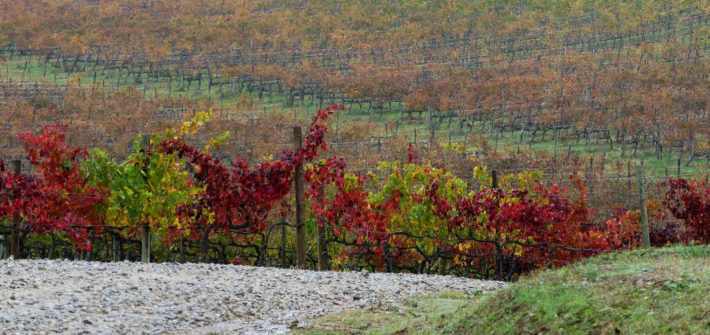 une semaine road trip toscane italie vignes chianti automne
