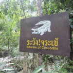 Khao yai thailande Khao yai crocodile RANDO