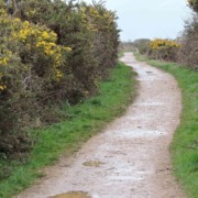 balade à pied le long de la mer keyhaven new forest rando itineraire weekend angleterre