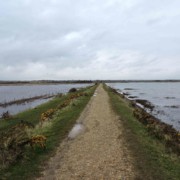 balade à pied entre mer & marais keyhaven new forest rando itineraire weekend angleterre