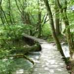 LACS PLITVICE CROATIE itineraire voyage