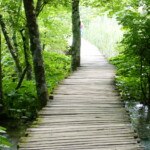 LACS PLITVICE CROATIE itineraire circuit voyage