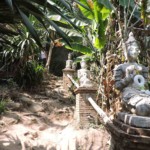 Mont Suthep Chiang Mai rando Doi Suthep Chiang mai thailande