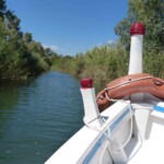 Tour en barque, Fonte Ciane Fonte ciane barque sicile roadtrip 10 jours