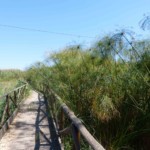 Fonte ciane Fonte ciane sicile roadtrip