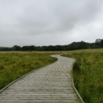 Skandinavisk Dyrepark Skandinavisk Dyrepark danemark roadtrip 1 semaine