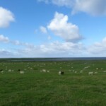 vélo a ribe vélo a ribe danemark 1 semaine roadtrip