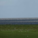 vélo a ribe vélo a ribe danemark 1 semaine roadtrip