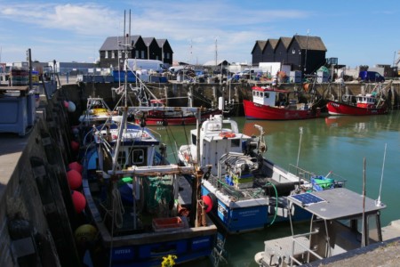 Whitstable cote ouest roadtrip angleterre 4