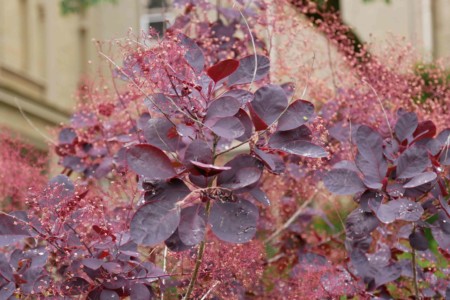 Brighton_england-roadtrip