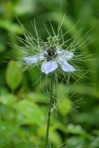 Brighton_england-roadtrip