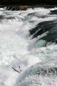 Chutes du Rhin cascades Roadtrip 1 semaine en Suisse