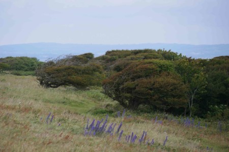 Côte1_england_Sussex_roadtrip