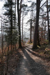 Forêt Thoune Roadtrip 1 semaine en Suisse