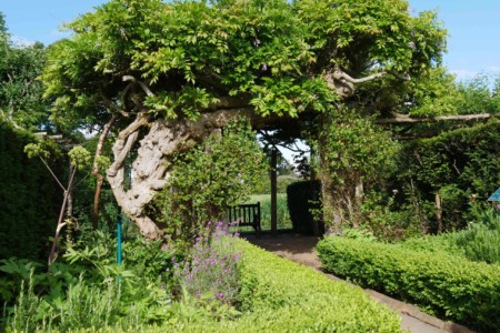 Hever_castle_kent_angleterre_roadtrip