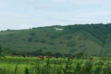 Litlington _england_Sussex_roadtrip