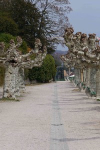 Nyon balade des anciennes murailles roadtrip 1 semaine en Suisse