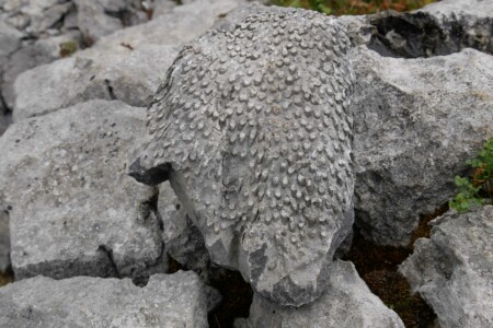 Le Burren voyage irlande 1 semaine road trip Burren