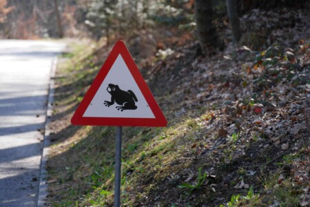 Panneau grenouille Thoune Roadtrip 1 semaine en Suisse