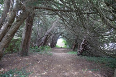 PenshurstPlace-castle_angleterre_kent_roadtrip