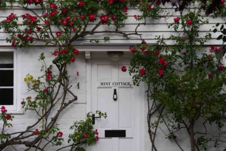 Rye_england_roadtrip