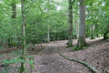 Scotney -castle_angleterre_kent_roadtrip