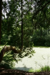 Scotney -castle_angleterre_kent_roadtrip