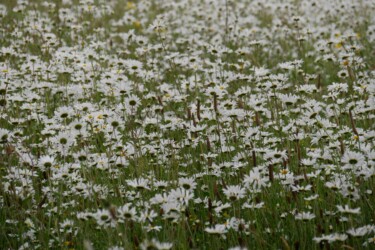 Sissinghurst-castle_angleterre_kent_roadtrip
