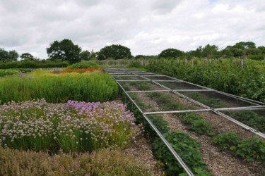 Sissinghurst-castle_angleterre_kent_roadtrip