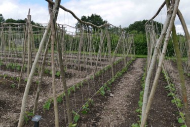 Sissinghurst-castle_angleterre_kent_roadtrip