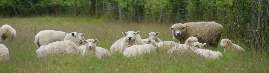 Sissinghurst-castle_angleterre_kent_roadtrip