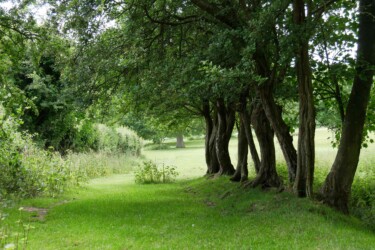 Sissinghurst-castle_angleterre_kent_roadtrip