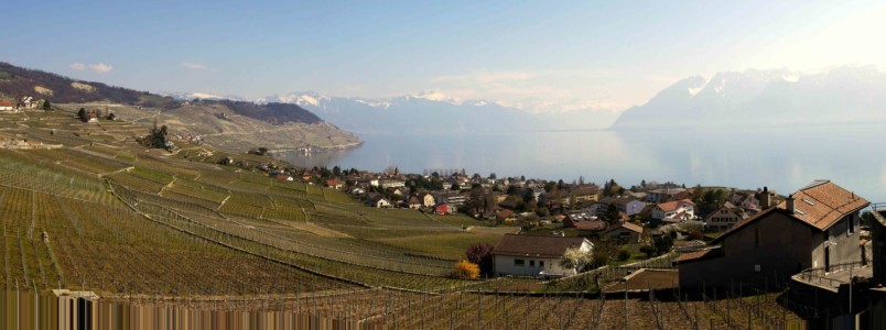 Terasses Lavaux Roadtrip 1 semaine en Suisse