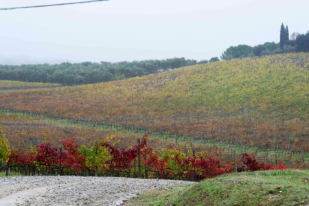 Les vignes du Chianti roadtrip toscane 1 semaine Le chianti vignes automne