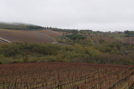 Les vignes du Chianti roadtrip toscane 1 semaine Le chianti vignes