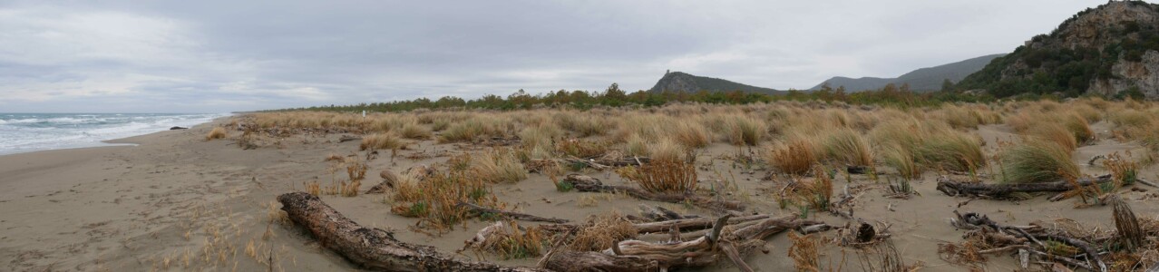 Parco della Maremma roadtrip toscane 1 semaine parco maremma plage panorama