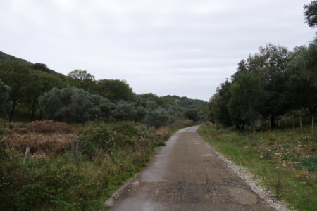 Parco della Maremma roadtrip toscane 1 semaine parco maremma velo